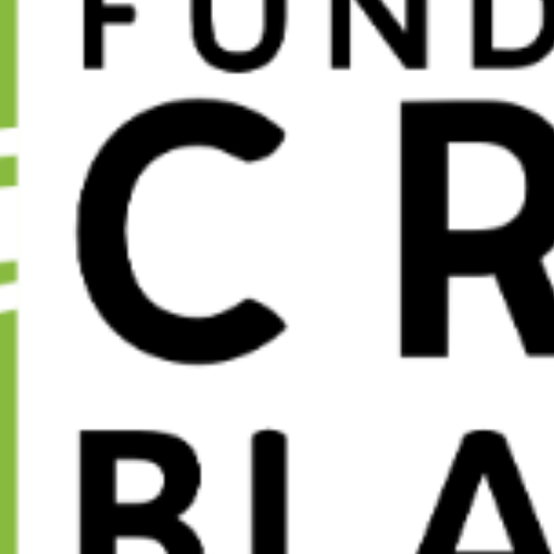 Logo de la entidadFundación Cruz Blanca